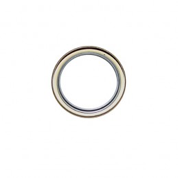 Paraolio interno Dana 30  76-86 CJ