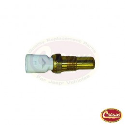 Sensore temperatura acqua