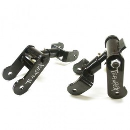 Revolver Biscottini teraflex