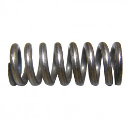 Molla a fungo dell'asta del cambio