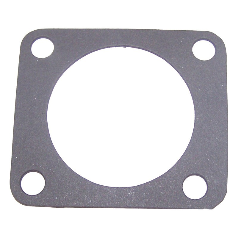 Guarnizione del convertitore catalitico