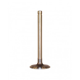 Valvola aspirazione motore 4200