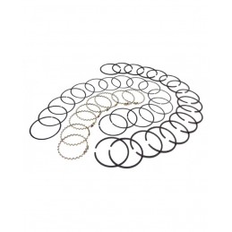 Fasce elastiche larghezza standard 5.0  Jeep CJ