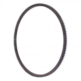 Corona dentata Volano