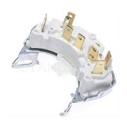 Neutral Start & Back-Up Switch