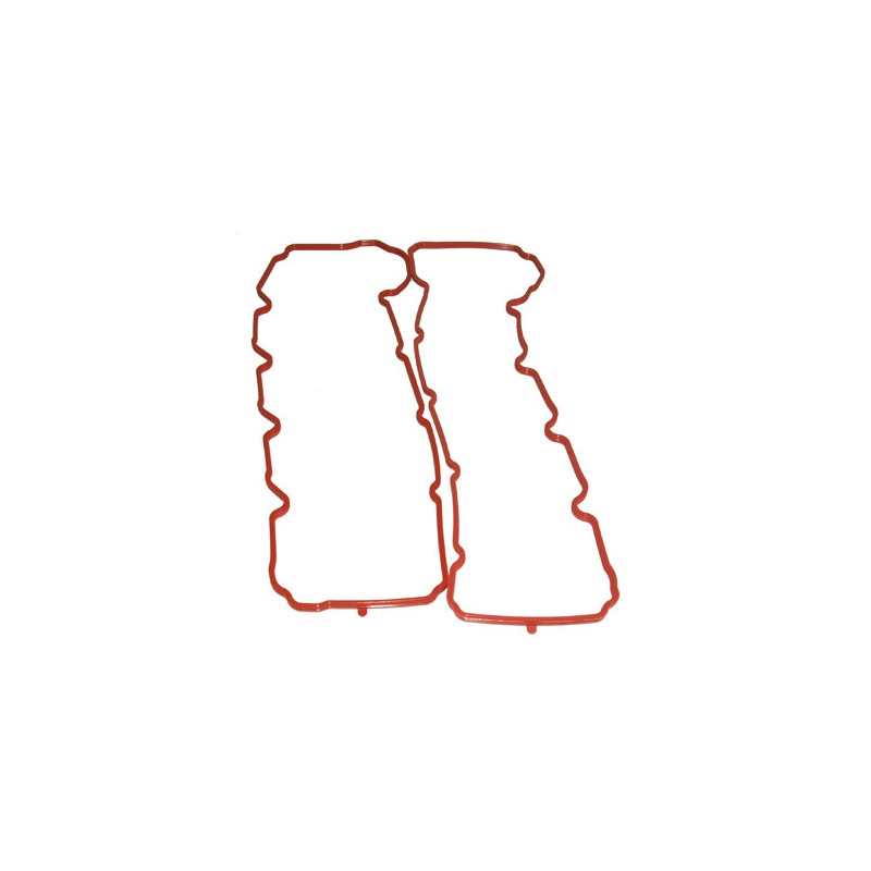 Guarnizione coperchio Valvole Jeep Grand Cherokee 04-07 4.7-L.