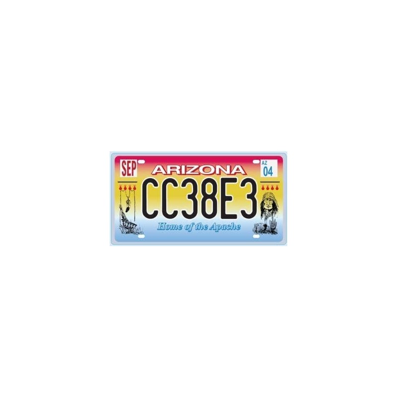 License Plate USA