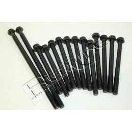 Cylinder Head Bolt Jeep Cherokee XJ 2100TD