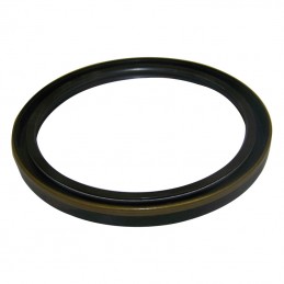 Crankshaft Seal (Rear)